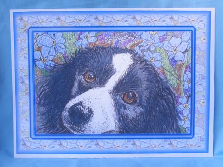 Forget Me Not Border Collie Dog in Floral Frame by Susan Smith
