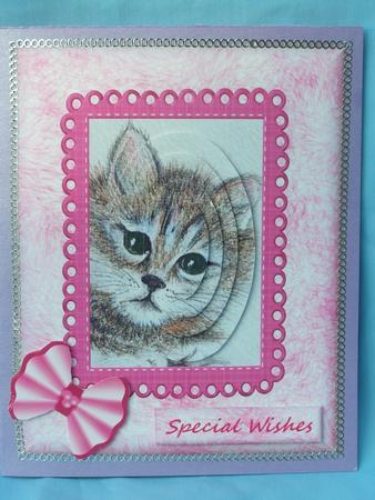 Tabby Cat in the Pink Oval Pyramid by Susan Smith