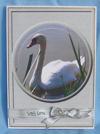 Swan with Oyster Ribbons by Susan Smith