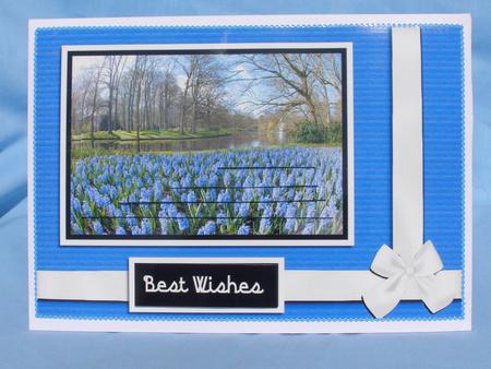 Hyacinth River Scene by Susan Smith