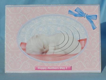 Sleepy Kitten 2 Card Front by Susan Smith