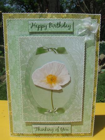 White Poppy on Pale Green Step by Step by Susan Smith