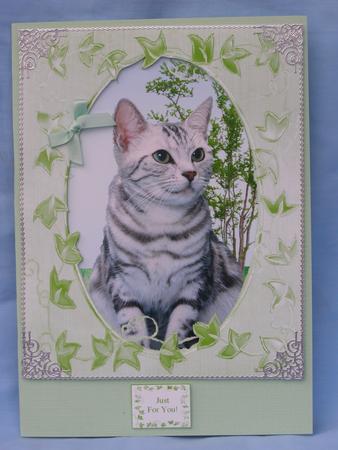 Silver Tabby Kitty Cat Frame Card with Sentiments & Gift Tag by Susan Smith