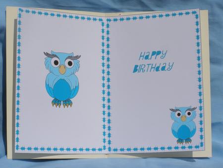 Turquoise Owl Insert by Susan Smith