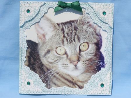 Albie the Tabby Kitten Decoupage Lace Frame Corner Stacker by Susan Smith