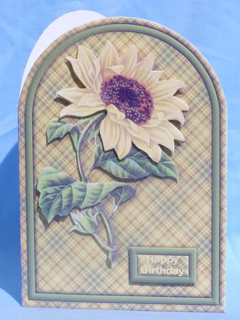 Sunflower Rounded Quick Card by Susan Smith