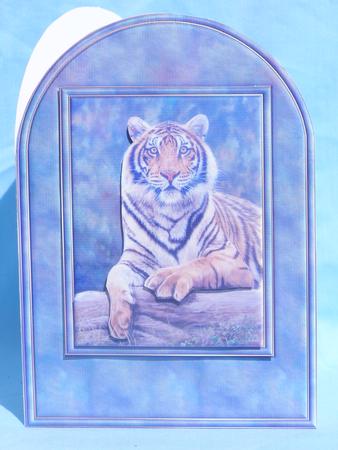 Tiger Rounded Quick Card by Susan Smith