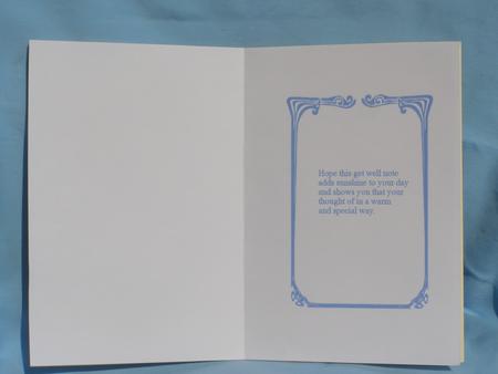 Get Well Insert by Susan Smith