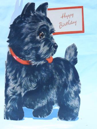 Black Terrier Shaped Card by Susan Smith