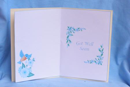 Flower & Bird Insert Get Well Soon by Susan Smith