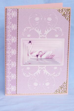 Swans in Ornate Frame by Susan Smith