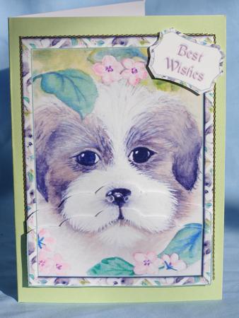 Little Puppy by Susan Smith