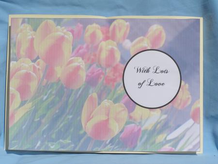 Tulips Insert 1 by Susan Smith