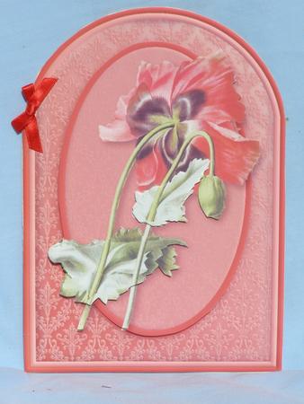 Poppy Rounded Quick Card by Susan Smith