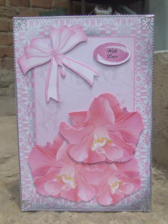 Lace Frame with Pink Flowers by Susan Smith