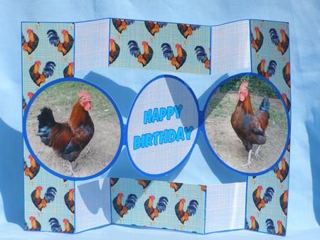 Lovely Red Cockerel by Susan Smith