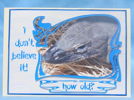 I Don't Believe It Reptile Birthday Card - 70 Years Young by Susan Smith