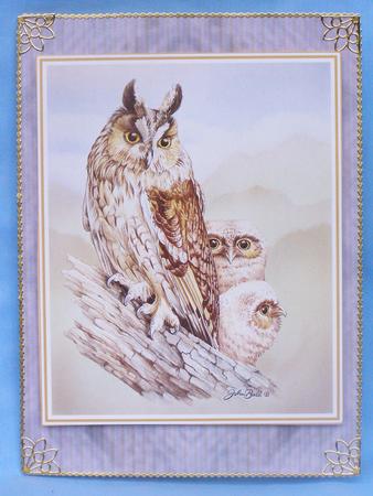 Wild 1 by Susan Smith