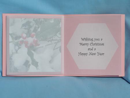 Holly Berries in the Snow - Insert by Susan Smith