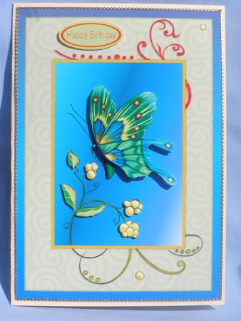 Tropical Butterfly Card Front by Susan Smith