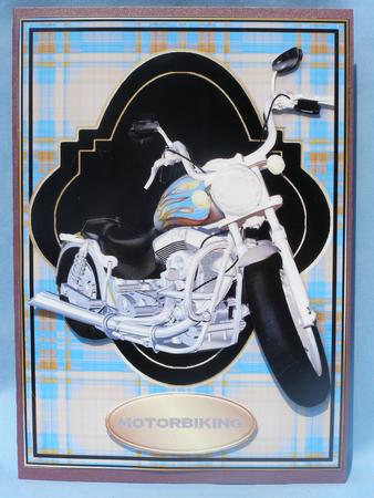 Motorbiking - Blue Brown Tartan by Susan Smith