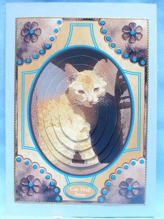 Gorgeous Ginger Kitten by Susan Smith