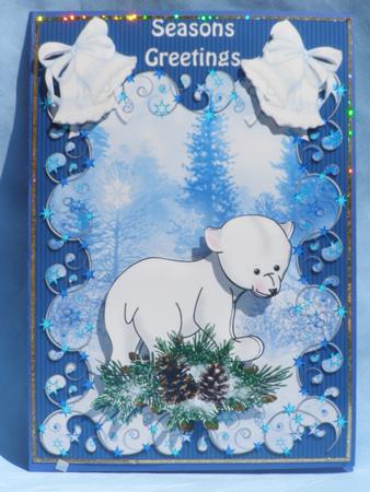 Polar Xmas by Susan Smith