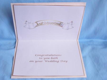 Just Married Insert by Susan Smith