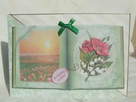 Book of Poppies Card Kit by Susan Smith