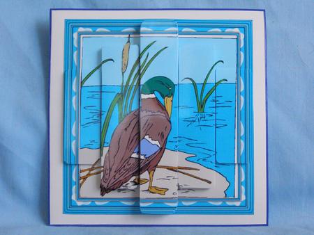 Duck Panel Card by Susan Smith