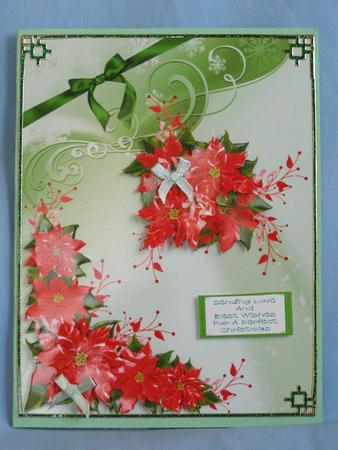 Red Poinsettia 2 by Susan Smith