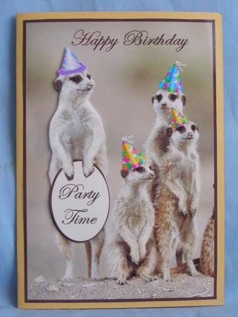 Meerkats Party by Susan Smith