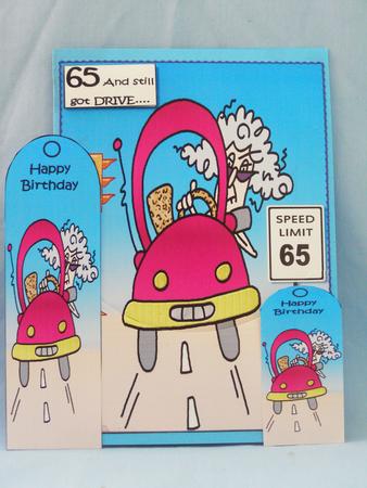 Stella Has Drive Topper with Bookmark by Susan Smith