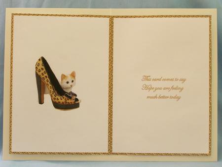 Cute Shoes Get Well Insert by Susan Smith