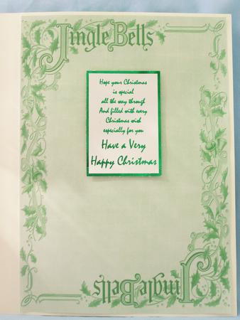 Mint Green Jingle Bells Christmas A4 Backing Paper by Susan Smith