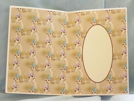 Meerkats Insert by Susan Smith