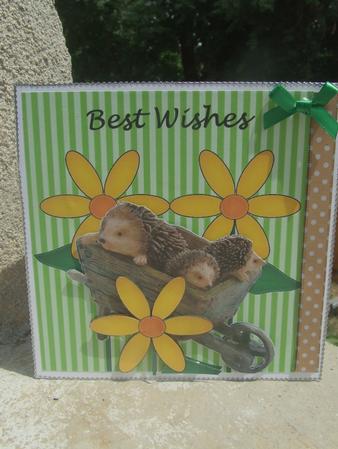 Cute Hedgehogs in Wheelbarrow by Susan Smith