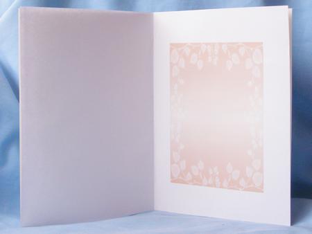 Peach Leaf Insert by Susan Smith