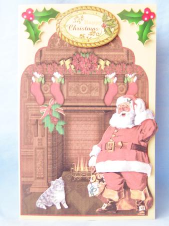 Santa Surprised the Cat by Susan Smith