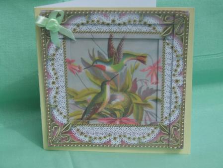 Tropical Birds Spiral Edge Stacker Card Front by Susan Smith
