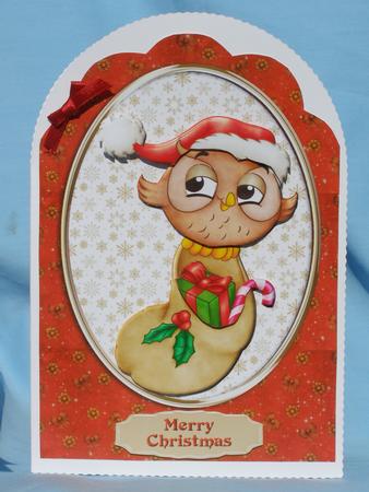 Christmas Owl Fancy Top with Pyramage and Tag by Susan Smith