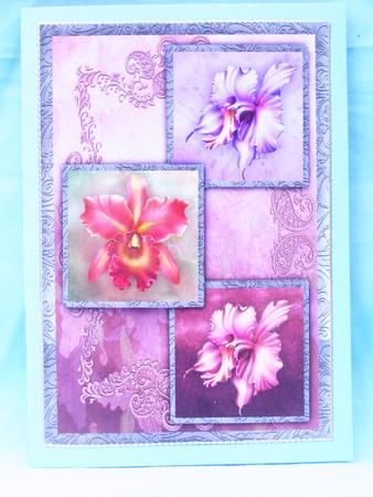 Orchids Three Square Quick Card by Susan Smith