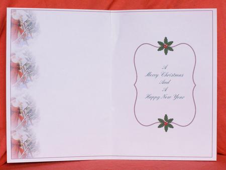 Xmas Insert-36 by Susan Smith