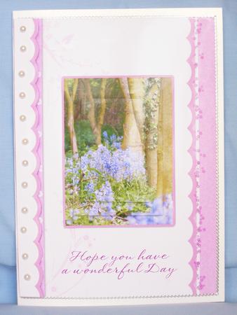 Bluebell Wood Birthday or Mother's Day Card by Susan Smith