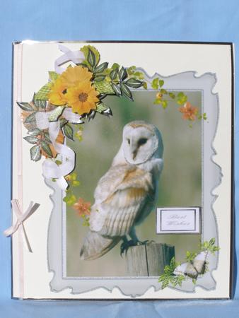 Barn Owl by Susan Smith
