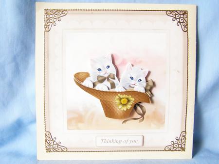 Kittens by Susan Smith