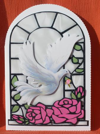 Beautiful White Dove with Pink Roses in Window A5 by Susan Smith