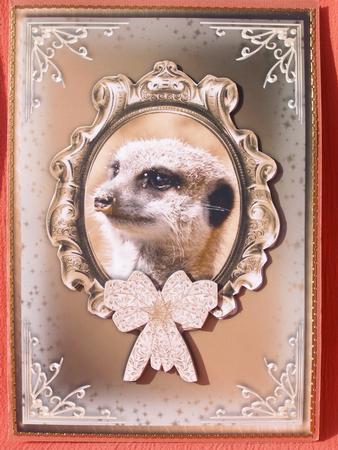 Who's There! Meercat Card Front by Susan Smith