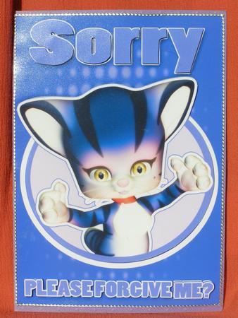 Sorry Card with Cat Wanting a Hug by Susan Smith