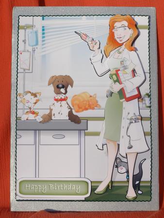 Vet Lady by Susan Smith